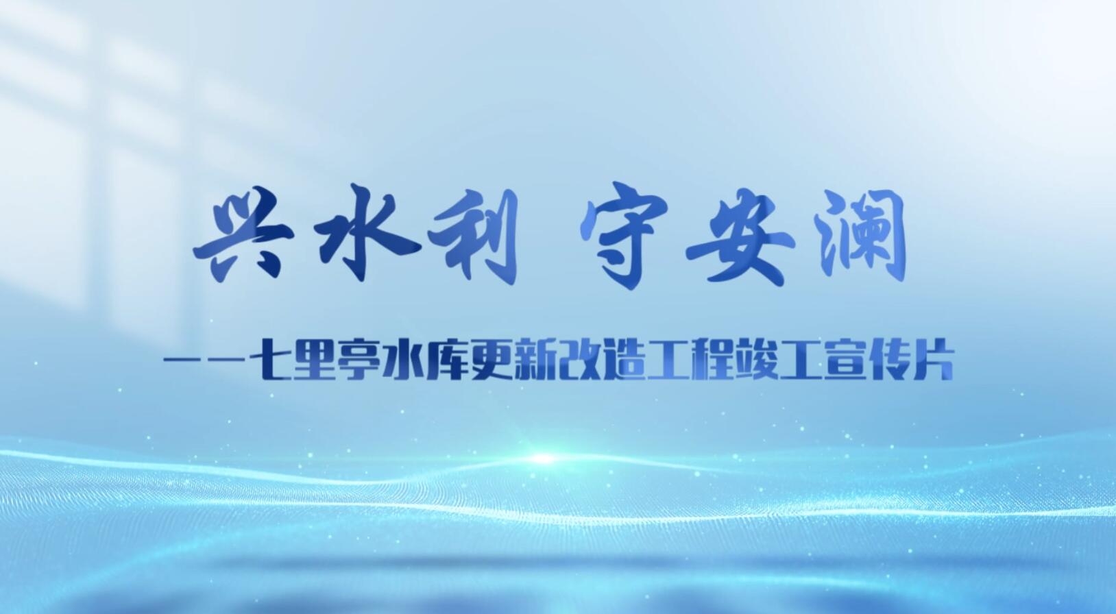 兴水利 守安澜